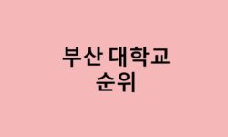 부산 대학교 순위