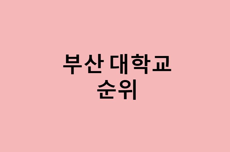 부산 대학교 순위