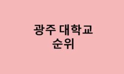 광주 대학교 순위