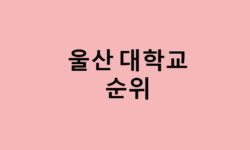 울산 대학교 순위