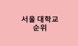 서울 대학교 순위