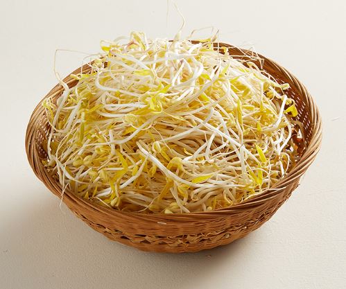 숙주 꿈